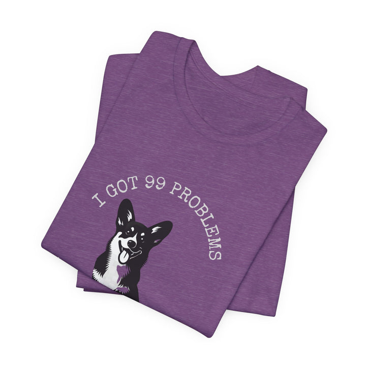 I Got 99 Problems But My Corgi Ain't One T-Shirt