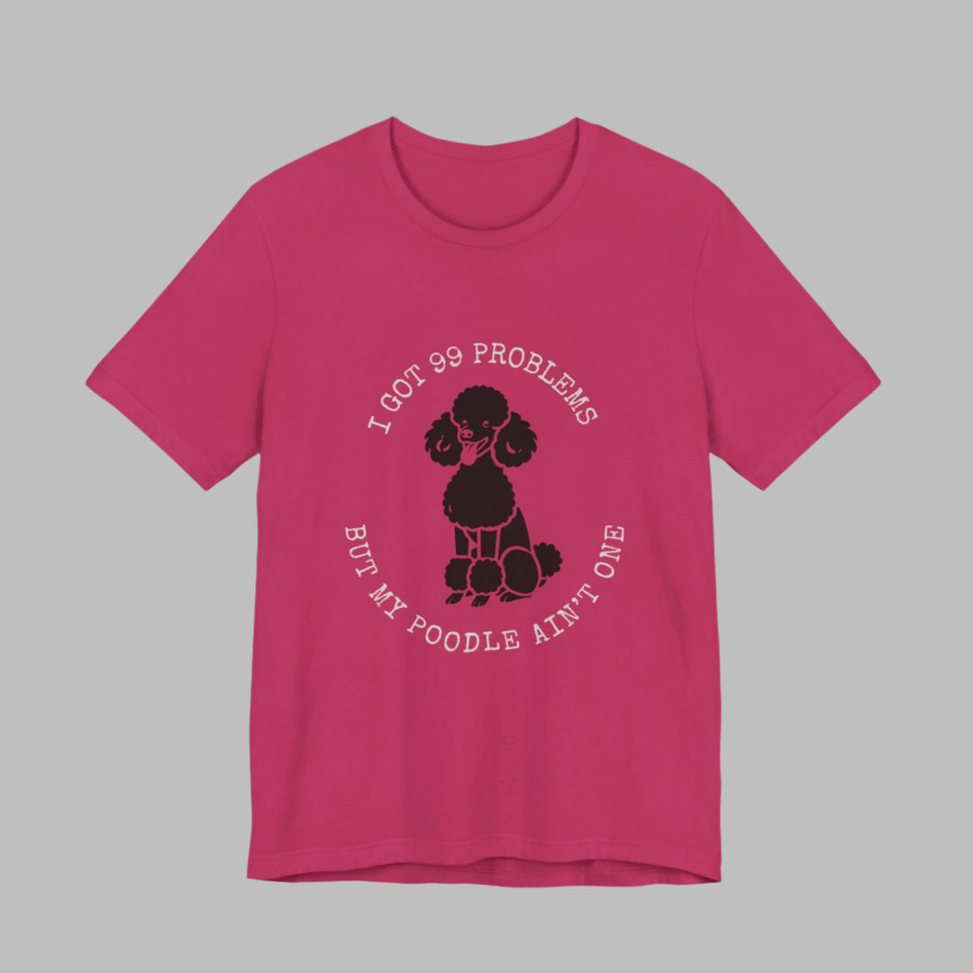 I Got 99 Problems But My Poodle Ain't One T-Shirt