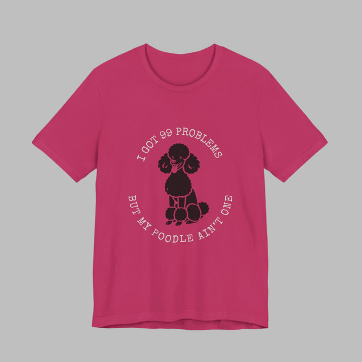 I Got 99 Problems But My Poodle Ain't One T-Shirt