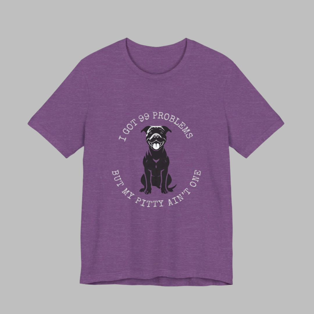 I Got 99 Problems But My Pitty Ain't One T-Shirt