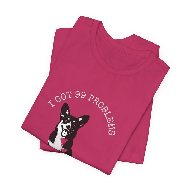 I Got 99 Problems But My Corgi Ain't One T-Shirt