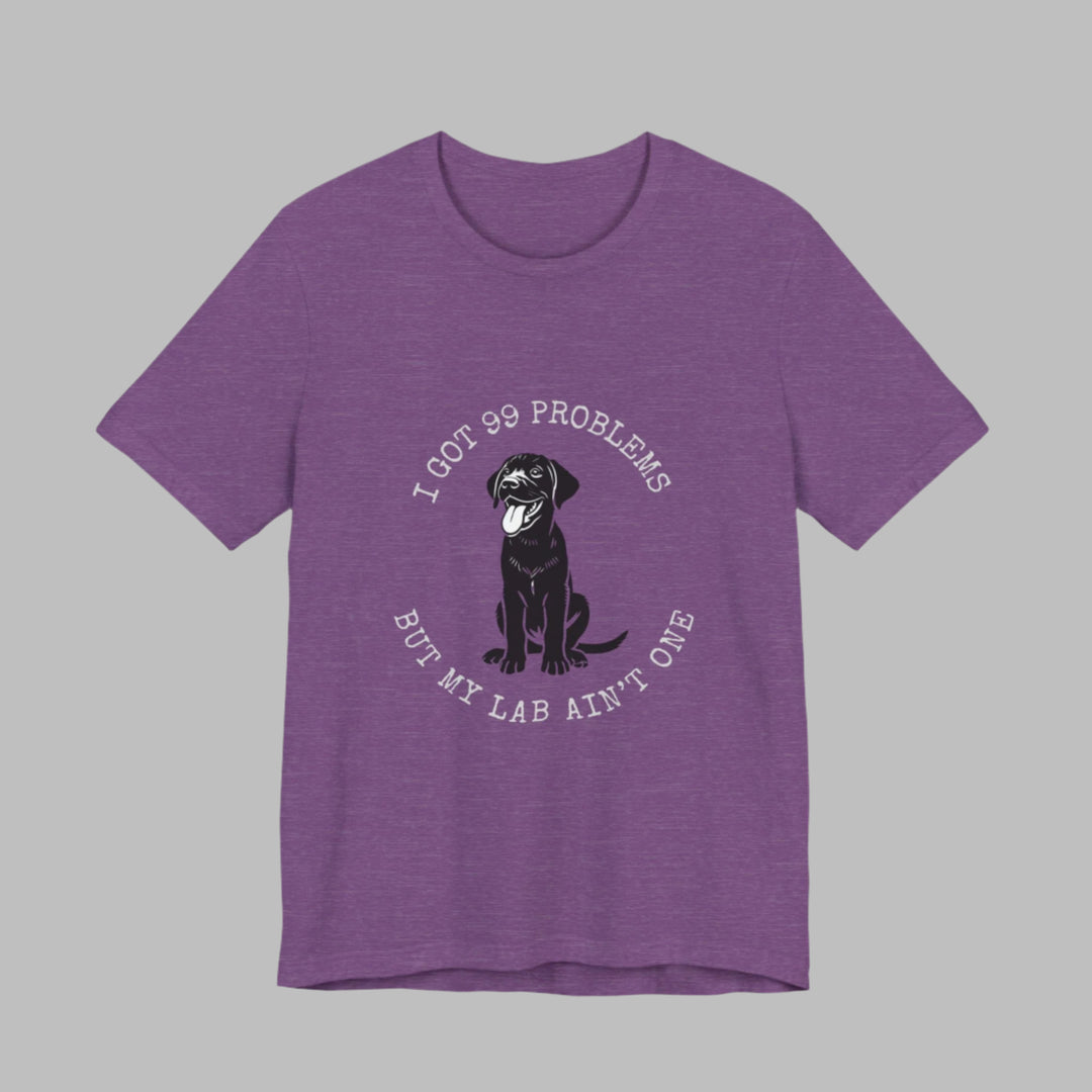 I Got 99 Problems But My Lab Ain't One T-Shirt
