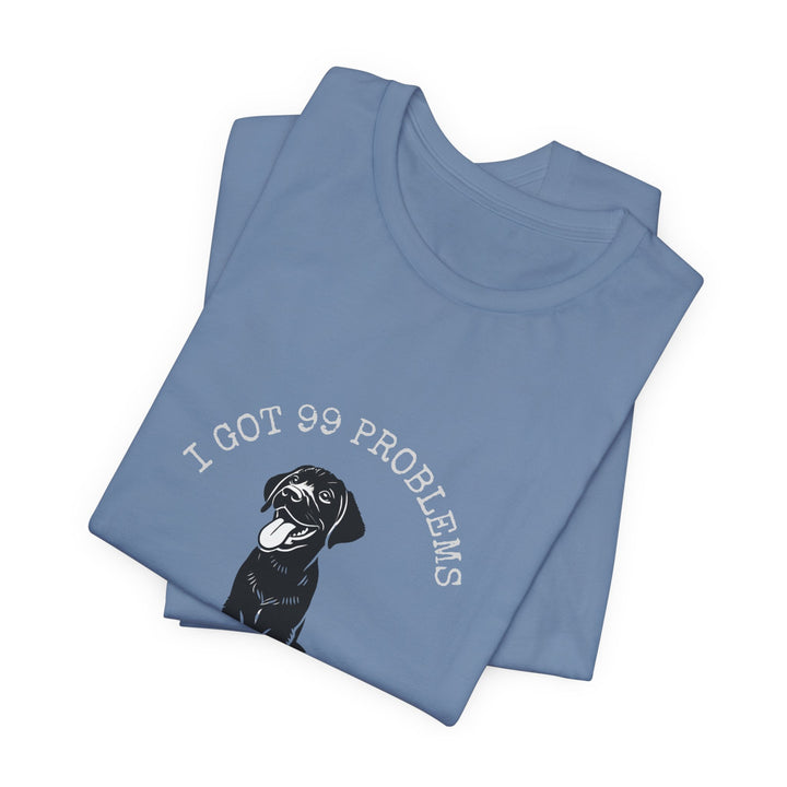 I Got 99 Problems But My Lab Ain't One T-Shirt