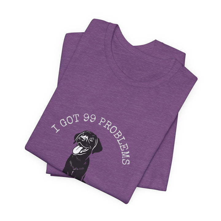 I Got 99 Problems But My Lab Ain't One T-Shirt