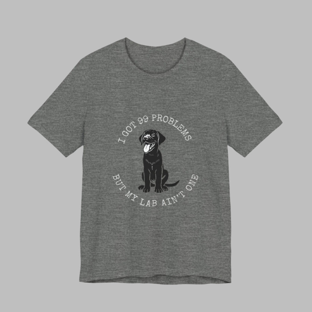 I Got 99 Problems But My Lab Ain't One T-Shirt