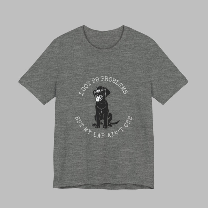 I Got 99 Problems But My Lab Ain't One T-Shirt