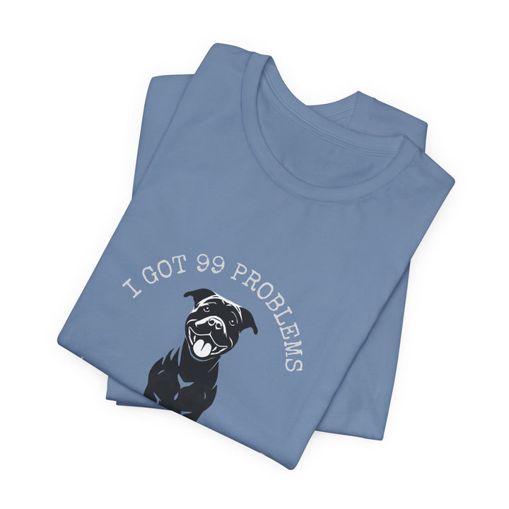 I Got 99 Problems But My Pitty Ain't One T-Shirt