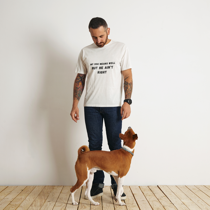 Dog shirt
