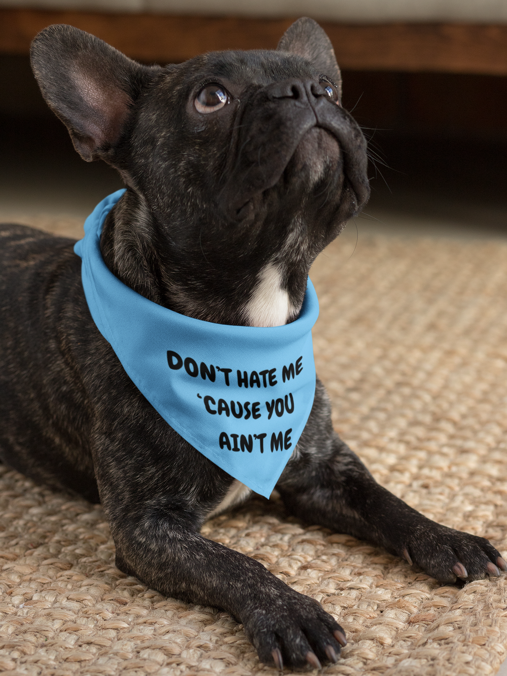 Dog Bandana