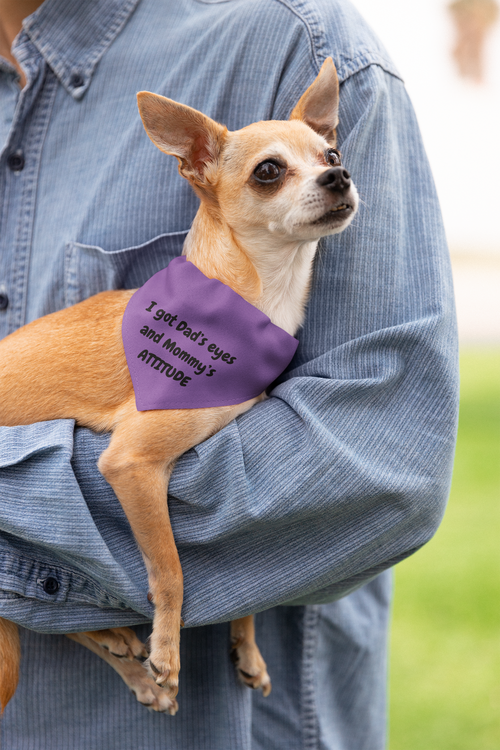 Dog Bandana