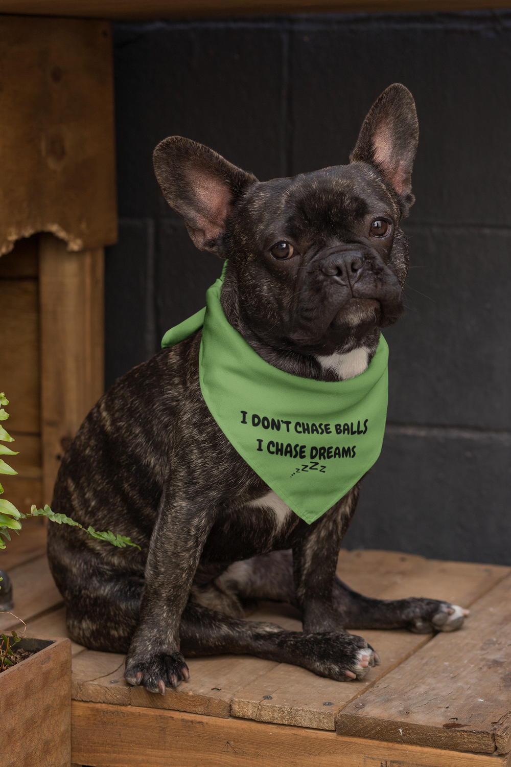 Dog Bandana