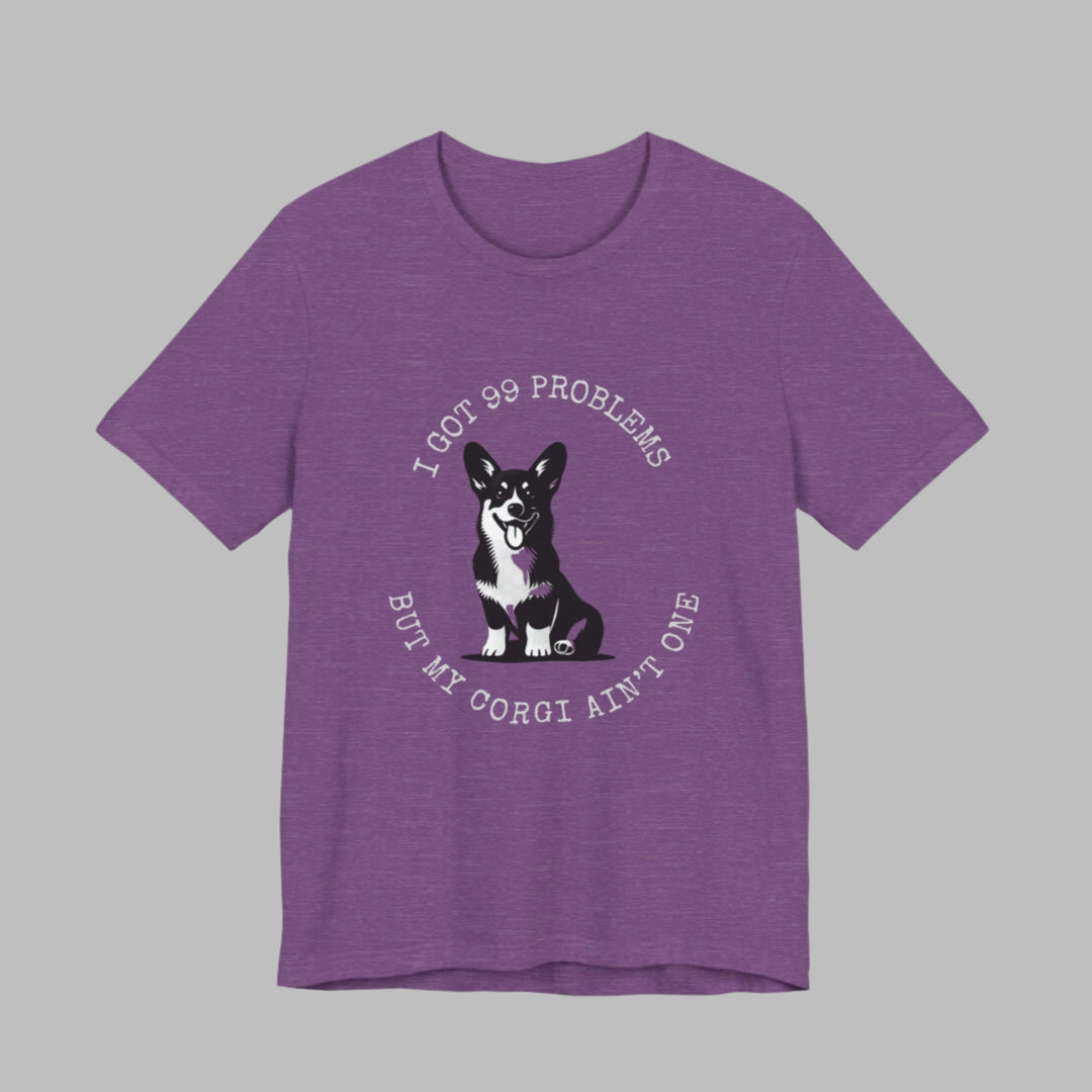 I Got 99 Problems But My Corgi Ain't One T-Shirt