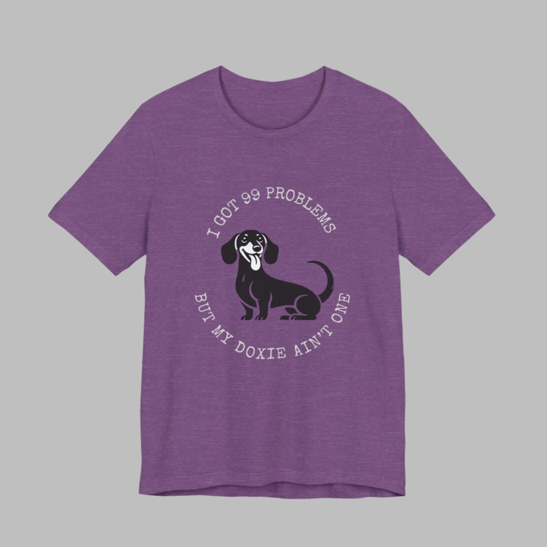 I Got 99 Problems But My Doxie Ain't One T-Shirt