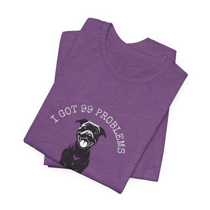I Got 99 Problems But My Pitty Ain't One T-Shirt
