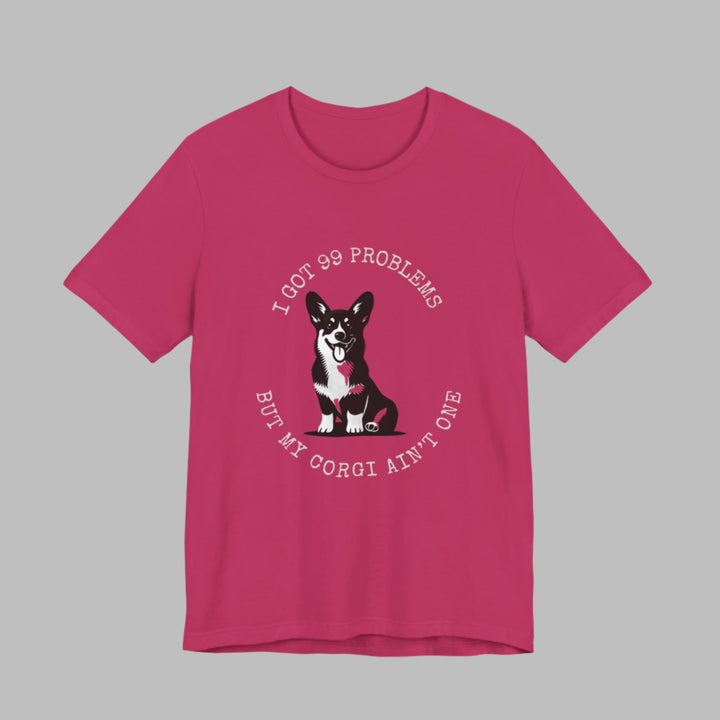 I Got 99 Problems But My Corgi Ain't One T-Shirt