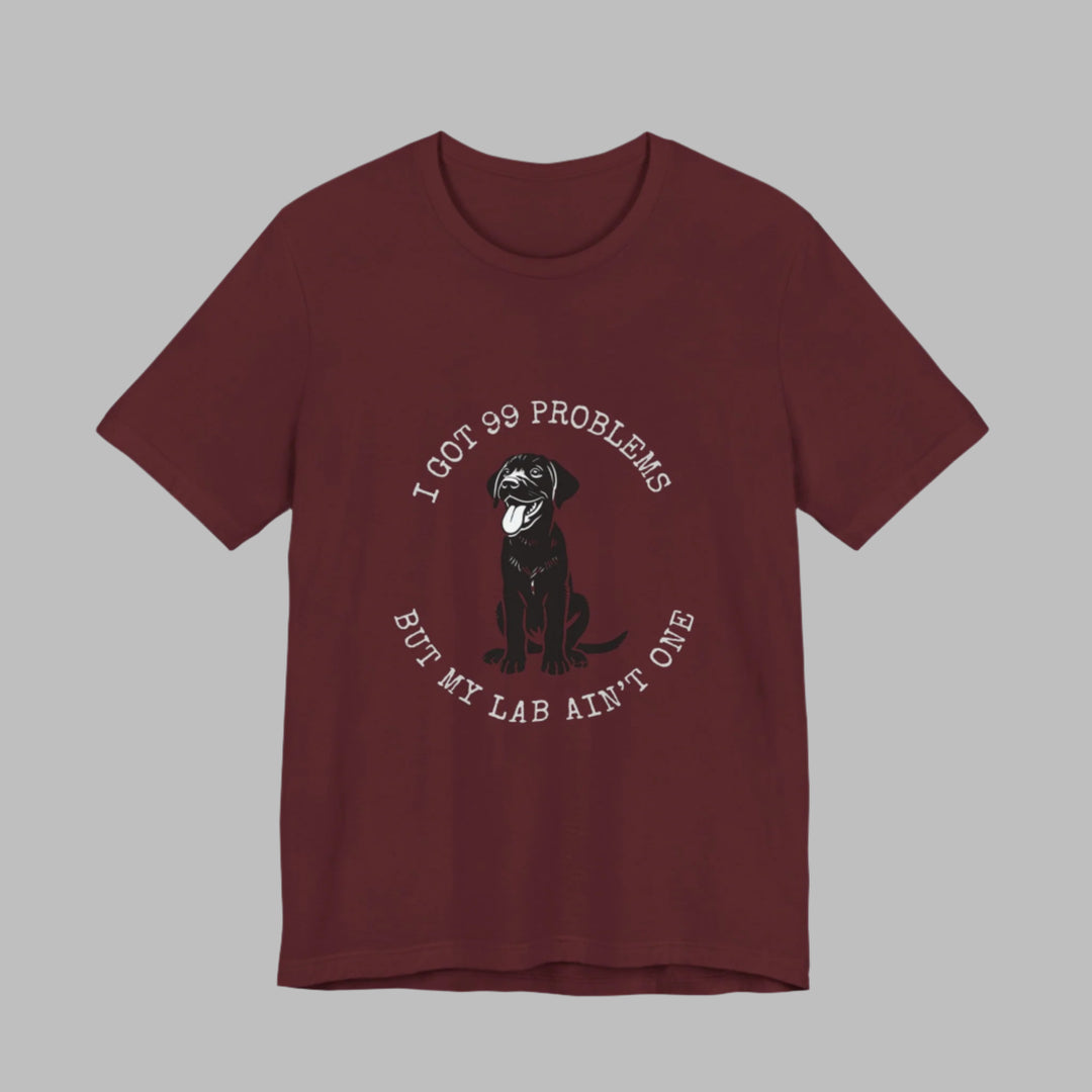 I Got 99 Problems But My Lab Ain't One T-Shirt