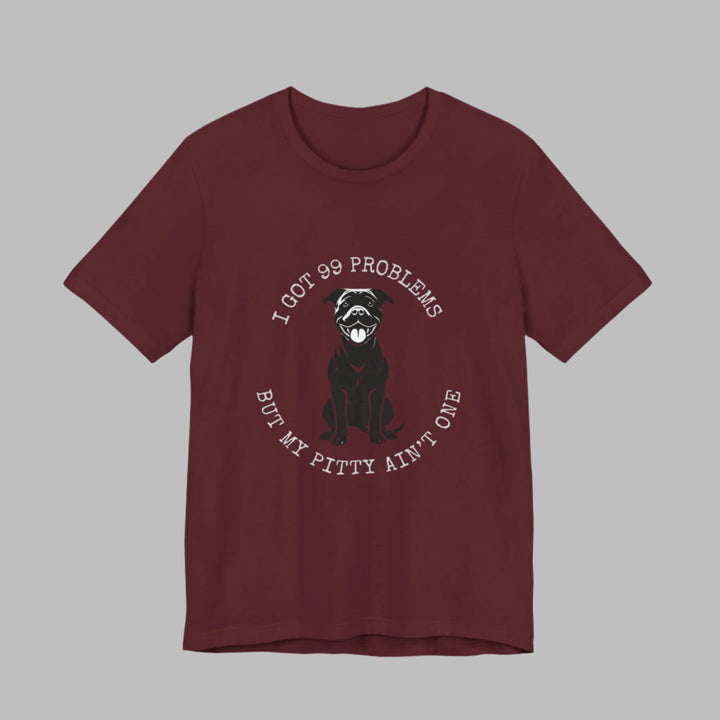 I Got 99 Problems But My Pitty Ain't One T-Shirt
