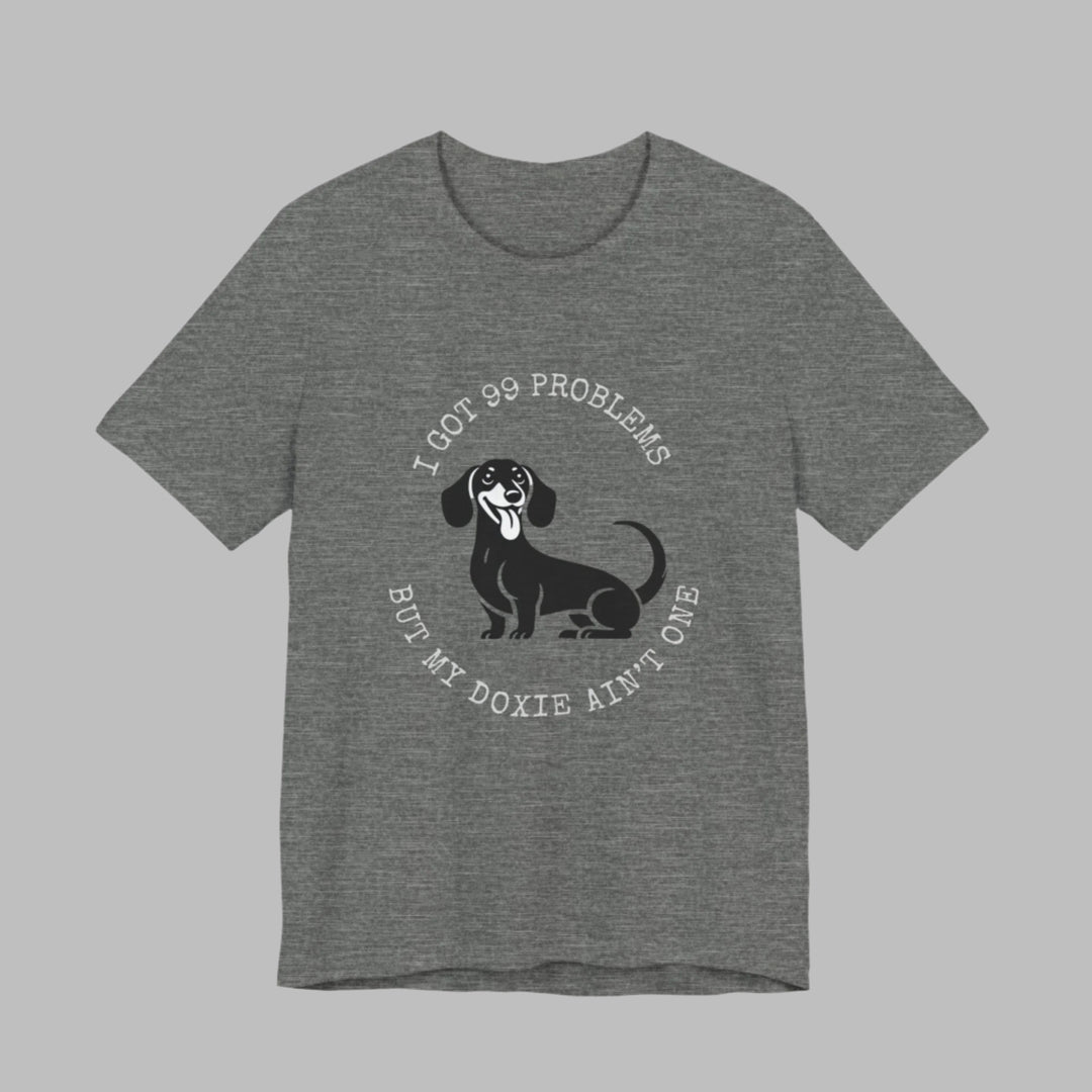 I Got 99 Problems But My Doxie Ain't One T-Shirt