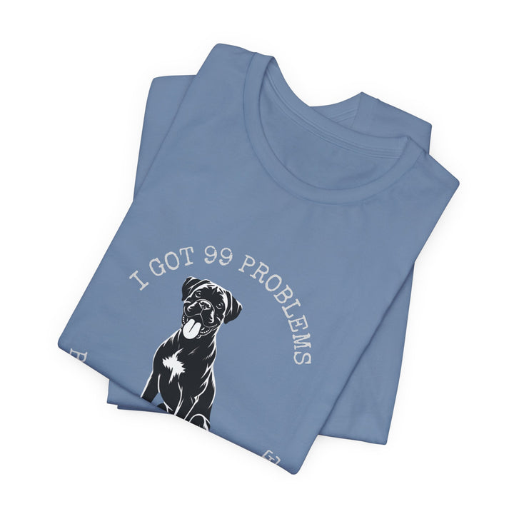 I Got 99 Problems But My Boxer Ain't One T-Shirt