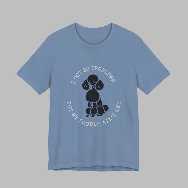 I Got 99 Problems But My Poodle Ain't One T-Shirt