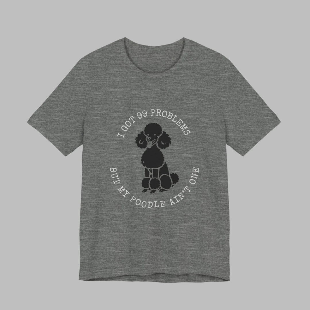 I Got 99 Problems But My Poodle Ain't One T-Shirt