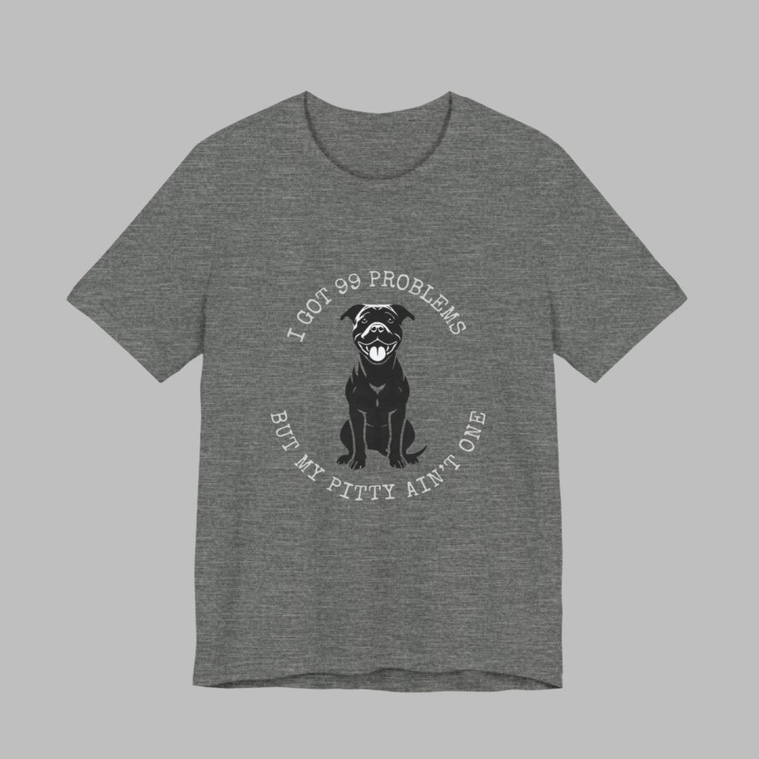 I Got 99 Problems But My Pitty Ain't One T-Shirt