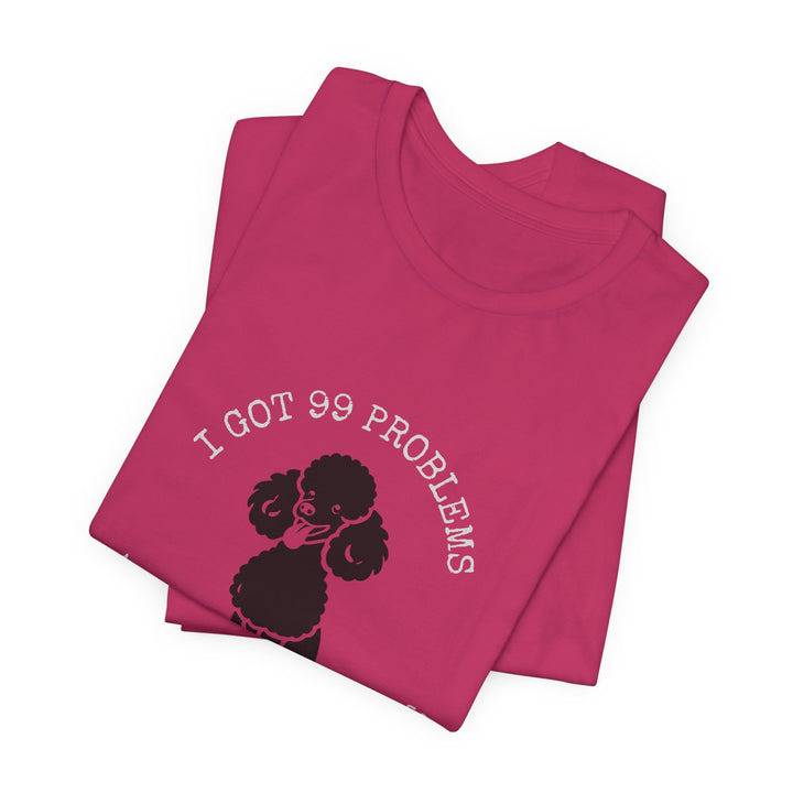 I Got 99 Problems But My Poodle Ain't One T-Shirt